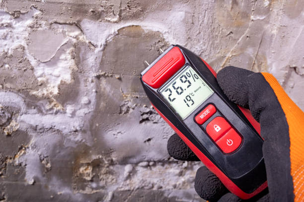 Liberty, TX Mold Removal Company