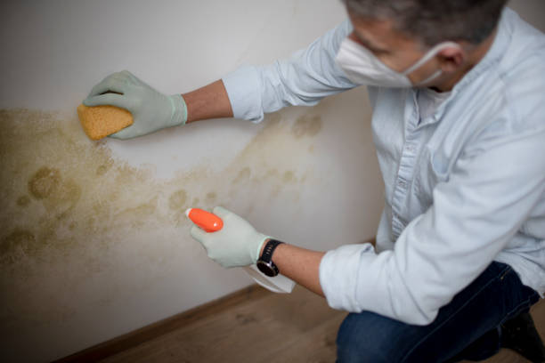 Best Certified Mold Removal  in Liberty, TX